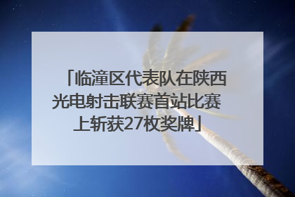 临潼区代表队在陕西光电射击联赛首站比赛上斩获27枚奖牌