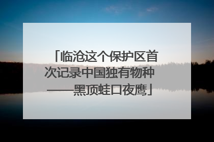 临沧这个保护区首次记录中国独有物种——黑顶蛙口夜鹰