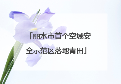 丽水市首个空域安全示范区落地青田