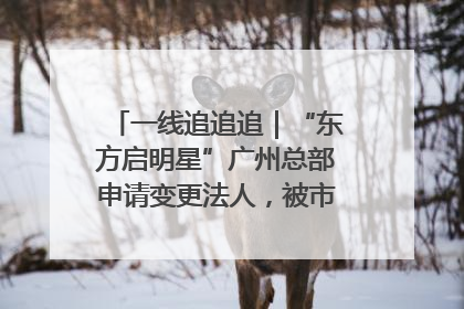一线追追追｜“东方启明星”广州总部申请变更法人，被市场监管部门限制