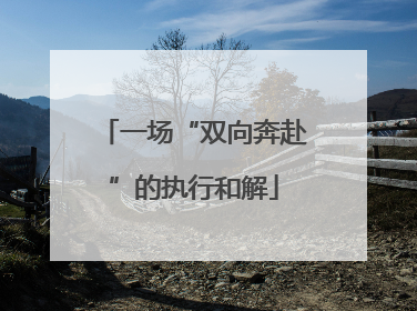 一场“双向奔赴”的执行和解