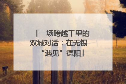 一场跨越千里的双城对话：在无锡“遇见”德阳