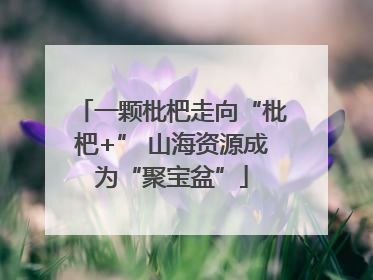 一颗枇杷走向“枇杷+” 山海资源成为“聚宝盆”