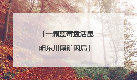 一颗蓝莓盘活昆明东川尾矿困局