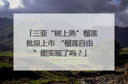 三亚“树上熟”榴莲批量上市 “榴莲自由”能实现了吗？