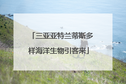 三亚亚特兰蒂斯多样海洋生物引客来