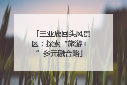 三亚鹿回头风景区：探索“旅游+”多元融合路