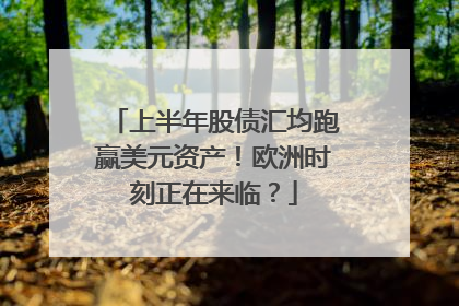 上半年股债汇均跑赢美元资产！欧洲时刻正在来临？
