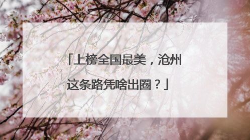 上榜全国最美，沧州这条路凭啥出圈？