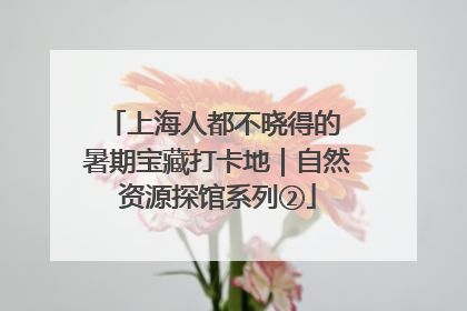 上海人都不晓得的 暑期宝藏打卡地｜自然资源探馆系列②