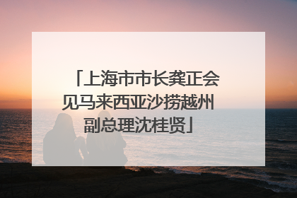 上海市市长龚正会见马来西亚沙捞越州副总理沈桂贤