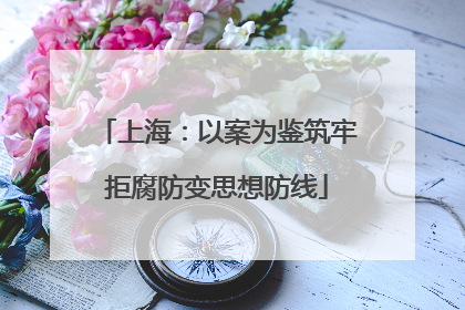 上海：以案为鉴筑牢拒腐防变思想防线
