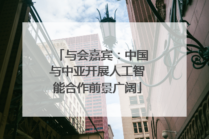 与会嘉宾：中国与中亚开展人工智能合作前景广阔