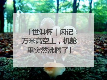 世俱杯｜闲记：万米高空上，机舱里突然沸腾了