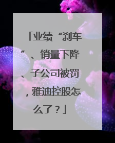 业绩“刹车”、销量下降、子公司被罚，雅迪控股怎么了？