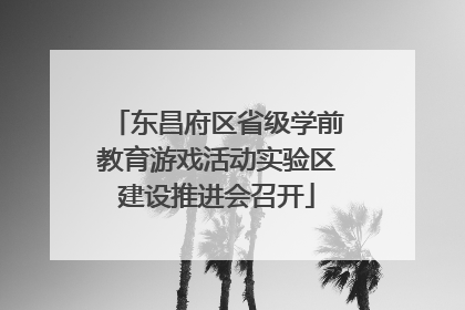 东昌府区省级学前教育游戏活动实验区建设推进会召开