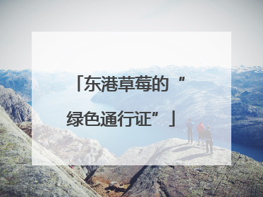 东港草莓的“绿色通行证”