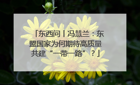东西问丨冯慧兰：东盟国家为何期待高质量共建“一带一路”？