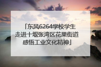 东风6264学校学生走进十堰张湾区花果街道感悟工业文化精神
