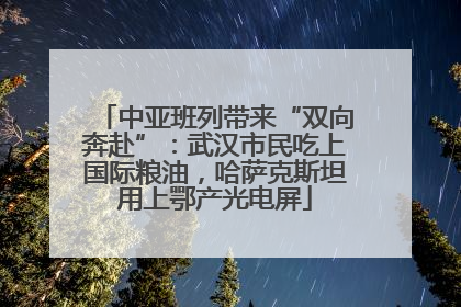 中亚班列带来“双向奔赴”：武汉市民吃上国际粮油，哈萨克斯坦用上鄂产光电屏