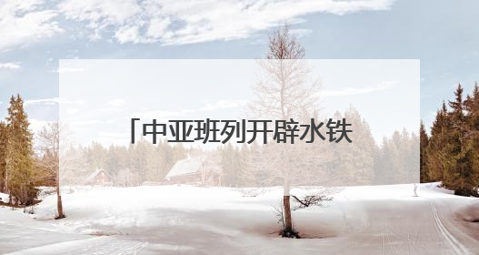 中亚班列开辟水铁联运新通道 物流综合成本降四成