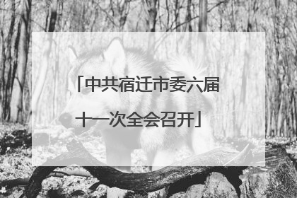 中共宿迁市委六届十一次全会召开