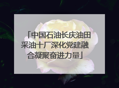 中国石油长庆油田采油十厂深化党建融合凝聚奋进力量