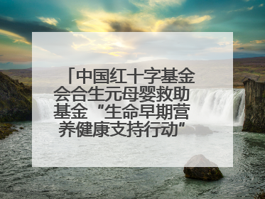 中国红十字基金会合生元母婴救助基金“生命早期营养健康支持行动”走进新疆，开启守护母婴新篇章！