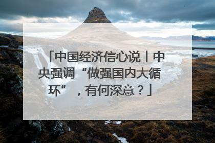中国经济信心说丨中央强调“做强国内大循环”，有何深意？