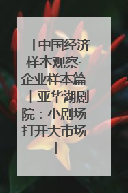 中国经济样本观察·企业样本篇︱亚华湖剧院：小剧场打开大市场
