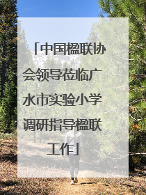 中国楹联协会领导莅临广水市实验小学调研指导楹联工作
