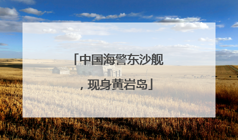 中国海警东沙舰，现身黄岩岛