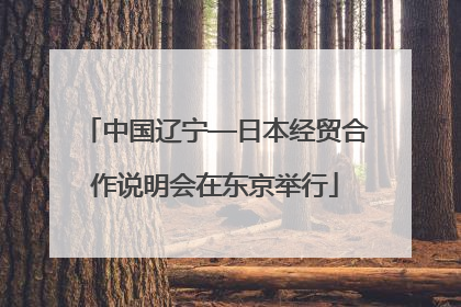 中国辽宁—日本经贸合作说明会在东京举行