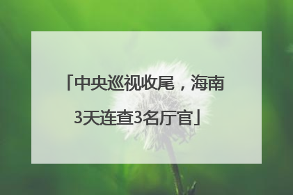 中央巡视收尾，海南3天连查3名厅官