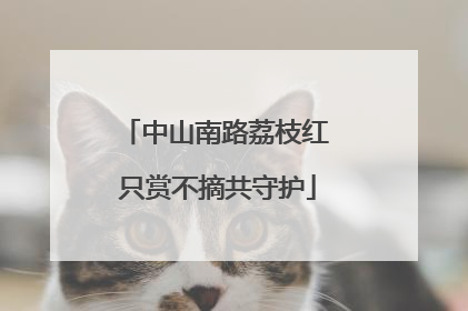 中山南路荔枝红 只赏不摘共守护