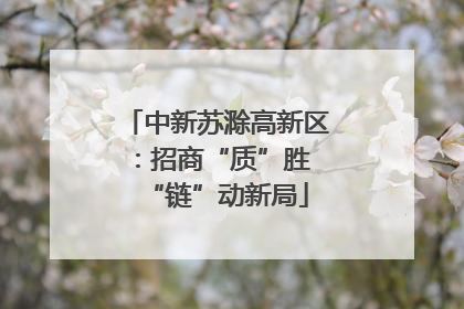 中新苏滁高新区：招商“质”胜 “链”动新局