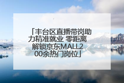 丰台区直播带岗助力精准就业 零距离解锁京东MALL200余热门岗位