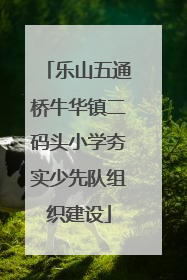 乐山五通桥牛华镇二码头小学夯实少先队组织建设