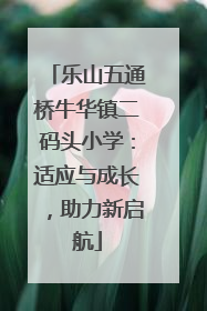 乐山五通桥牛华镇二码头小学：适应与成长，助力新启航