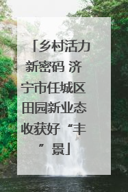 乡村活力新密码 济宁市任城区田园新业态收获好“丰”景