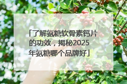 了解氨糖软骨素钙片的功效，揭秘2025年氨糖哪个品牌好