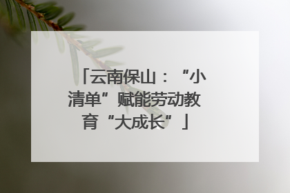 云南保山：“小清单”赋能劳动教育“大成长”