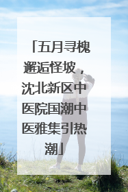 五月寻槐邂逅怪坡，沈北新区中医院国潮中医雅集引热潮