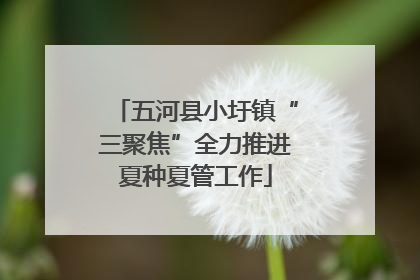 五河县小圩镇“三聚焦”全力推进夏种夏管工作