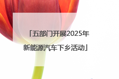 五部门开展2025年新能源汽车下乡活动
