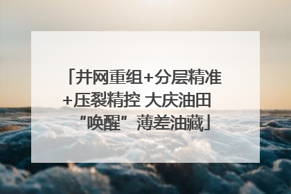 井网重组+分层精准+压裂精控 大庆油田“唤醒”薄差油藏