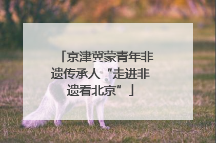 京津冀蒙青年非遗传承人“走进非遗看北京”