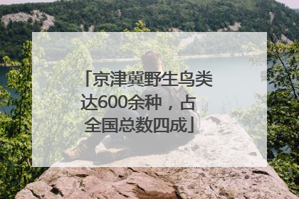 京津冀野生鸟类达600余种，占全国总数四成