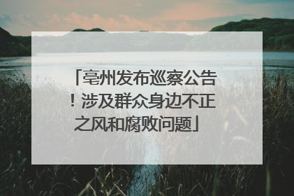 亳州发布巡察公告！涉及群众身边不正之风和腐败问题