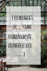 任职最后一天，马斯克眼角淤青出现在白宫……